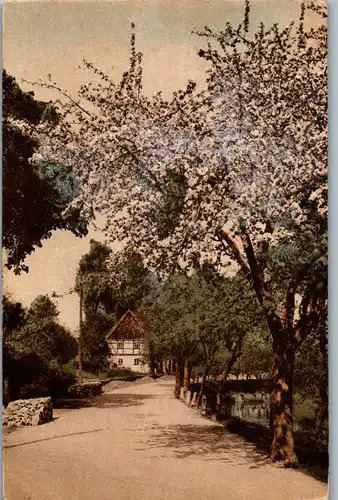 37947 - Künstlerkarte - Blühender Maibaum , Haus - gelaufen 1921