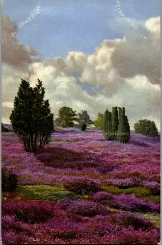 37958 - Künstlerkarte - Landschaft , Lavendel  - nicht gelaufen