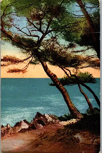 37982 - Künstlerkarte - Landschaft , Meer - gelaufen 1912