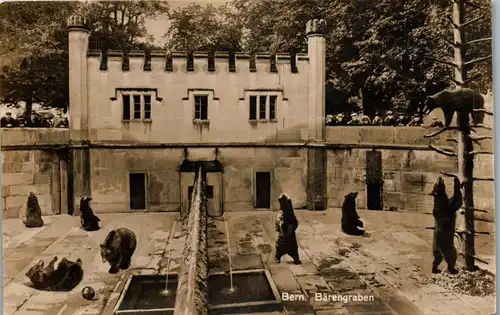 37991 - Schweiz - Bern , Bärengraben - nicht gelaufen