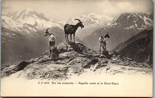 37992 - Frankreich - Aiguille verte et le Mont Blanc , Sur les sommets - nicht gelaufen