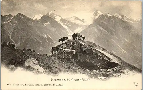 38064 - Schweiz - St. Nicolas , Valais , Jungenalp - nicht gelaufen