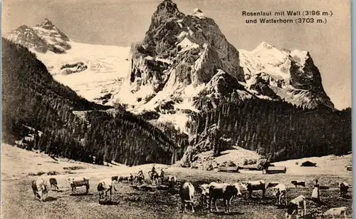38086 - Schweiz - Rosenlaui mit Wall und Wetterhorn - nicht gelaufen
