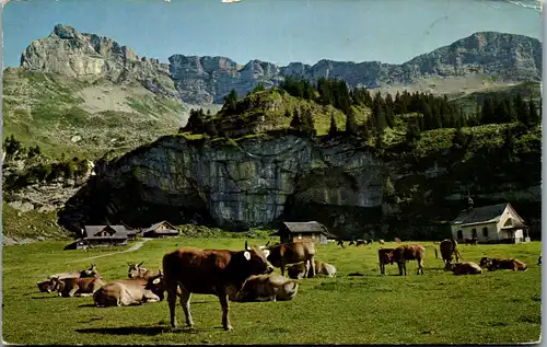 38114 - Schweiz - Aelggi Alp mit Brünighaupt , Aelggialp - gelaufen 1964