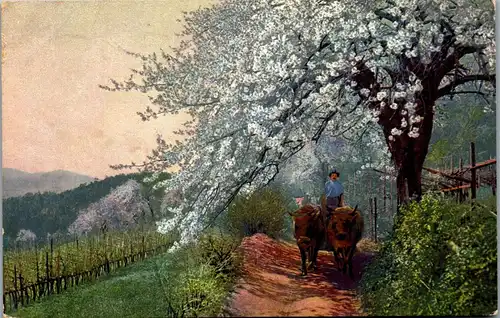 38194 - Künstlerkarte - Obstblüte in Tirol - gelaufen 1912