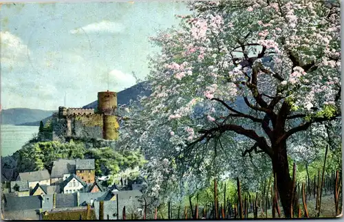 38203 - Künstlerkarte - Blühender Maibaum , Festung - gelaufen 1911