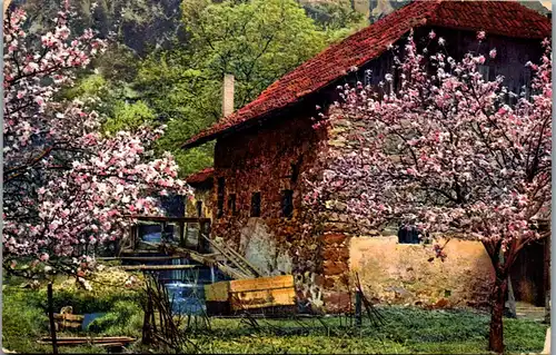 38206 - Künstlerkarte - Obstblüte in Tirol - gelaufen 1912