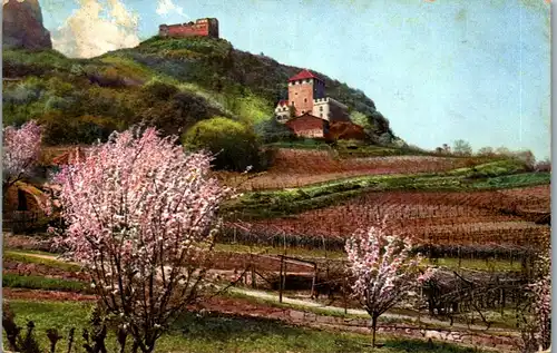 38207 - Künstlerkarte - Obstblüte in Tirol - gelaufen 1912