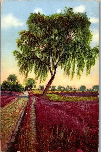 38210 - Künstlerkarte - Landschaft , Baum - gelaufen 1912