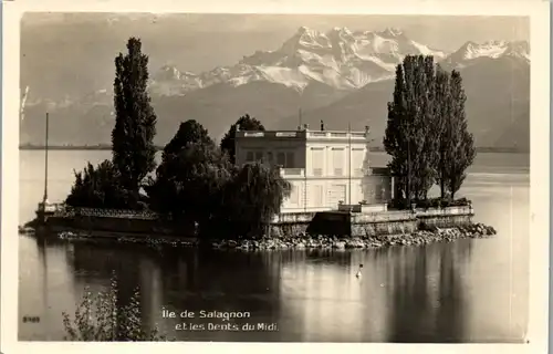 38336 - Schweiz - Isle de Salagnon et les Dents du Midi - nicht gelaufen