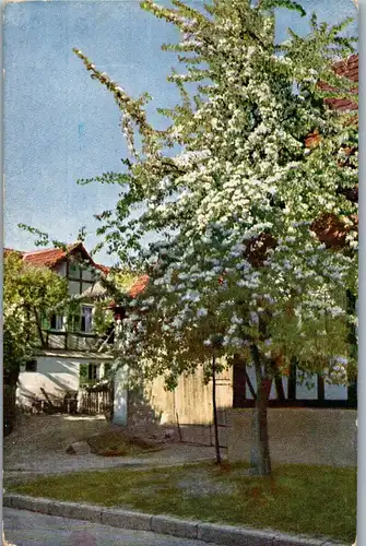 38403 - Künstlerkarte - Blühender Obstbaum - gelaufen 1912
