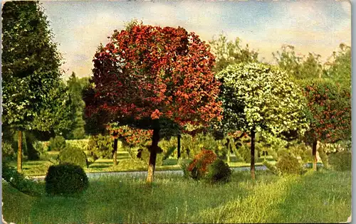 38427 - Künstlerkarte - Landschaft , Bäume - gelaufen 1912