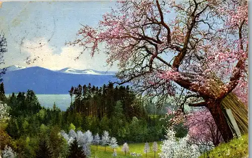 38433 - Künstlerkarte - Bodensee bei Lindau , Landschaft , Blühende Bäume - gelaufen 1913