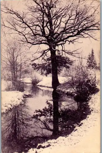 38638 - Künstlerkarte - Landschaft , Winter , Bäume - gelaufen 1907