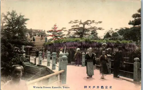 38741 - Japan - Tokyo , Tokio , Wisteria Blossom Kameido , Timbre Prisonniers de Guerre - nicht gelaufen