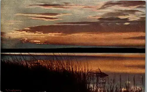 38859 - Deutschland - Biberach , Blick auf den Federsee - nicht gelaufen