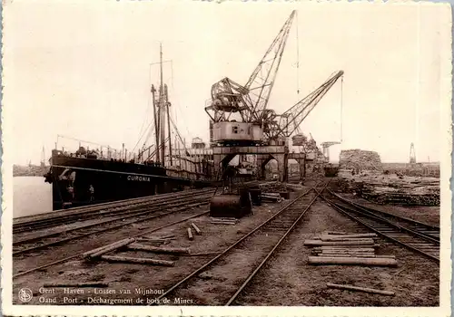 38890 - Belgien - Gent , Gand , Port , Dechargement de bois de Miners , Ship Curonia , Schiff  - nicht gelaufen