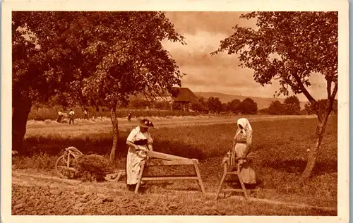 39162 - Schweiz - Aus dem Bauernleben , Schweizer Heimatschutzpostkarten - nicht gelaufen