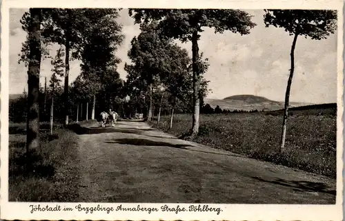 39203 - Deutschland - Jöhstadt im Erzgeb. Annaberger Strafse Pöhlberg , Ochsenwagen - gelaufen 1941