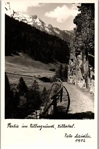 39240 - Tirol - Zillertal , Partie im Zillergrund - nicht gelaufen 1952