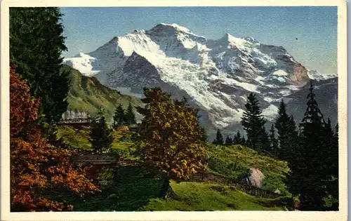 39321 - Schweiz - Bei Wengen , Jungfrau - nicht gelaufen