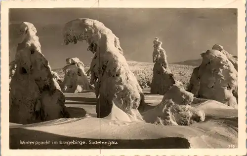 39392 - Deutschland - Sudeten , Winterpracht im Erzgebirge , Sudetengau - nicht gelaufen