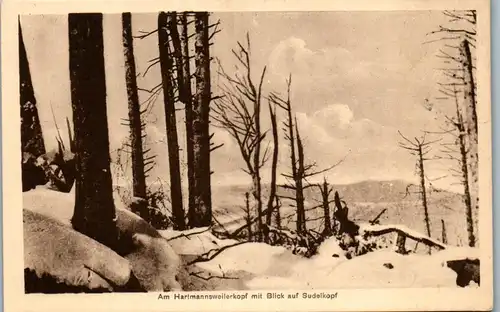 39446 - Frankreich - Elsass , Am Hartmannsweilerkopf mit Blick auf Sudelkopf , WW , WK - nicht gelaufen