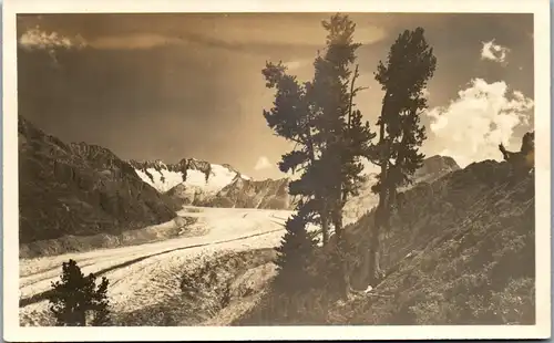 39476 - Schweiz - Aletschgletscher g. Fiescherhörner vom Aletschwald aus , Gletscher - nicht gelaufen