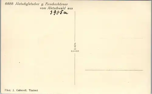 39476 - Schweiz - Aletschgletscher g. Fiescherhörner vom Aletschwald aus , Gletscher - nicht gelaufen