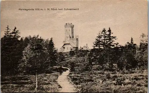 39486 - Deutschland - Hornisgrinde , Schwarzwald - nicht gelaufen