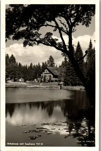 39754 - Deutschland - Arbersee mit Seehaus
