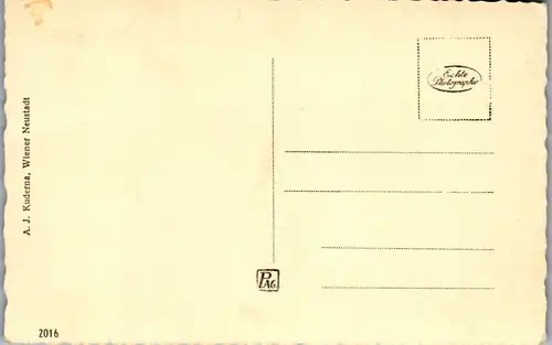 39767 - Niederösterreich - Wiener Neustadt , Markt , Adolf Hitler Platz - nicht gelaufen