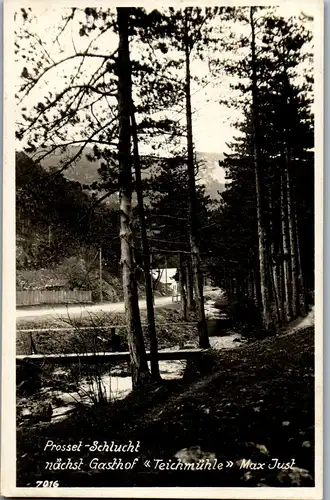 40042 - Niederösterreich - Prosset Schlucht nächst Gasthof Teichmühle - gelaufen