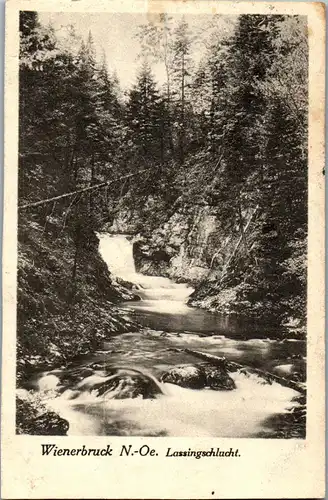 40192 - Niederösterreich - Wienerbruck , Lassingschlucht - gelaufen