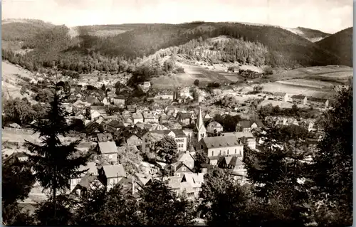 40402 - Deutschland - Steinach i. Thür. , Panorama - gelaufen