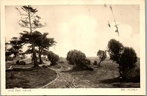 40410 - Deutschland - Müden , Aus der Heide - gelaufen 1910