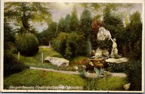 40610 - Deutschland - Sangerhausen , Heideröschen im Rosarium - gelaufen