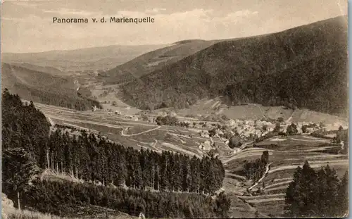 40685 - Deutschland - Panorama v. d. Marienquelle , Feldpost - gelaufen 1917