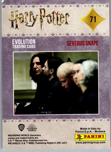 40737 - Karten zum Sammeln - Harry Potter , Panini , Evolution Trading Card , 71 , Severus Snape