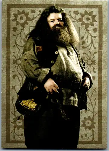 40739 - Karten zum Sammeln - Harry Potter , Panini , Evolution Trading Card , 99 , Rubeus Hagrid