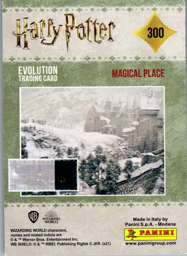 40743 - Karten zum Sammeln - Harry Potter , Panini , Evolution Trading Card , 300 , Magical Place