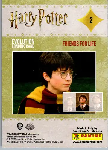 40744 - Karten zum Sammeln - Harry Potter , Panini , Evolution Trading Card , 2 , Friends for Life