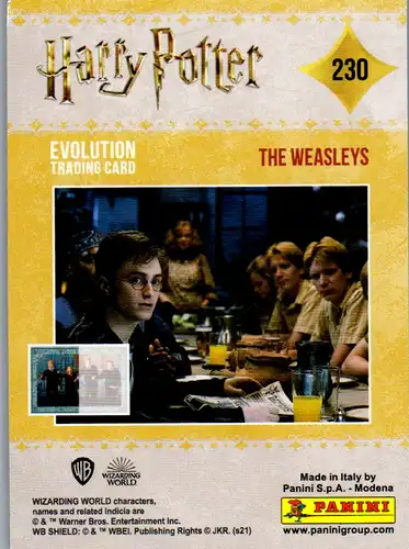40748 - Karten zum Sammeln - Harry Potter , Panini , Evolution Trading Card , 230 , The Weasleys