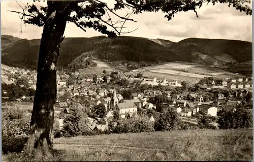 40791 - Deutschland - Steinach , Thür. Wald , Panorama - gelaufen