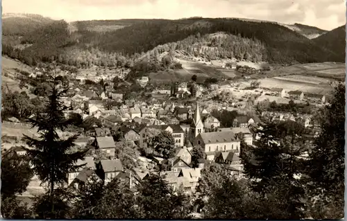 40792 - Deutschland - Steinach , Thür. Wald , Panorama - gelaufen