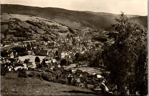 40793 - Deutschland - Steinach , Thür. Wald , Panorama - gelaufen