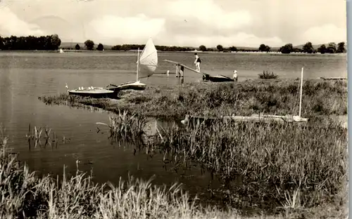 40845 - Deutschland - Am Neuendorfer See - gelaufen