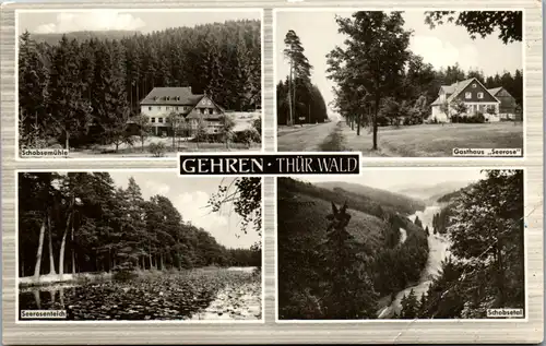 40875 - Deutschland - Gehren i. Thür. Wald , Seerosenteich , Schobsemühle , Gasthaus Seerose , Schobsetal - gelaufen