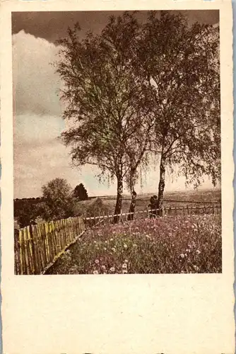 40960 - Künstlerkarte - Landschaft , Birken - nicht gelaufen