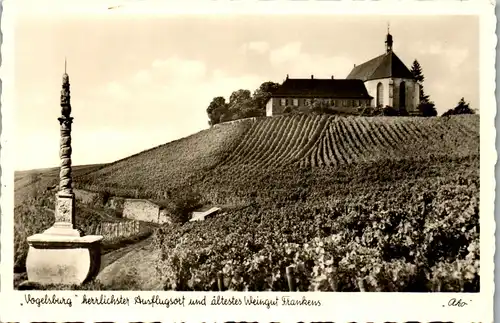 40983 - Deutschland - Vogelsburg an der Mainschleife bei Volkach , Weingut Frankens - nicht gelaufen